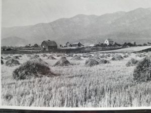 Flathead Valley Ranch Late 1800’s Before Montana Became a State